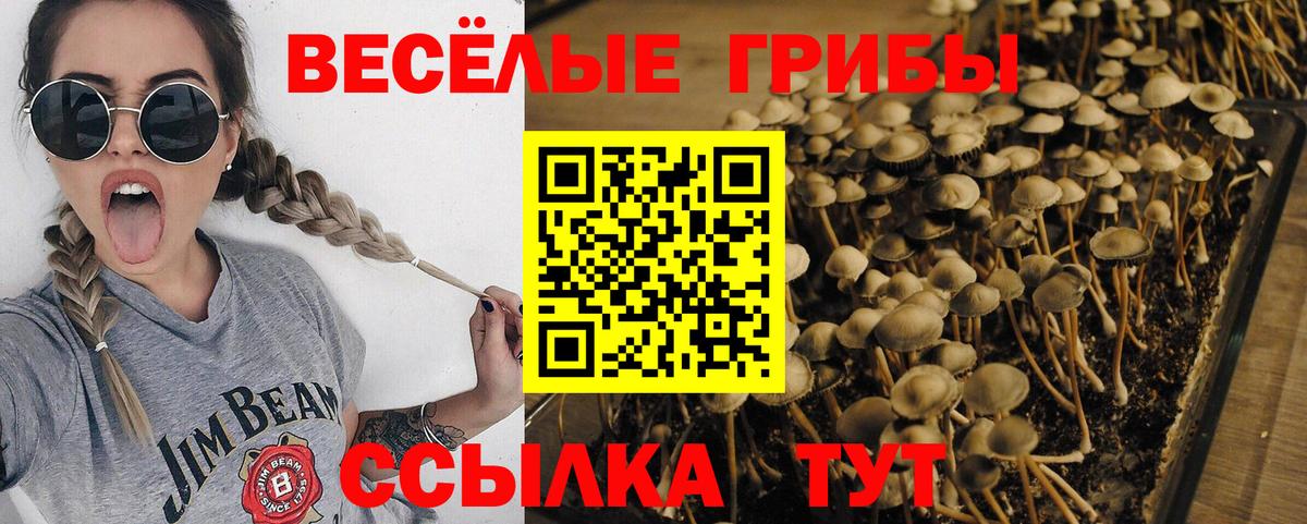 Галлюциногенные грибы мицелий Заинск