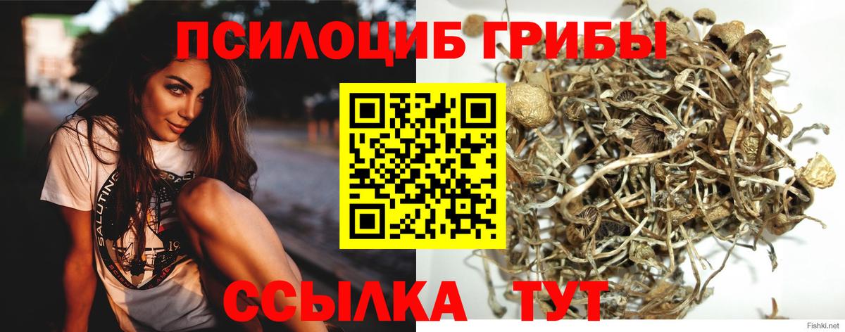 Псилоцибиновые грибы мухоморы  Вход с VPN  Заинск  Галлюциногенные грибы ЛСД 